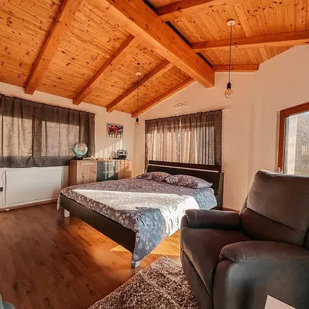 Olive Garden Family Apartment With Private Pool Sezana Exterior photo